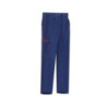 PANTALON IGNIFUGO PERM.INHERENTE PIAES-27-AM T-58