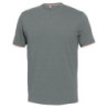 CAMISETA RAPALLO 100% COTONE GRIS 8182 T-M