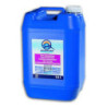 DESINCRUSTANTE FORTE PS 10 202910