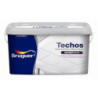 BRUGUER PLAST.TECHOS MONOCAPA BCO MATE 2,5L