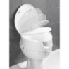 ALZADOR WC CON TAPA 41,5X44X19 20063