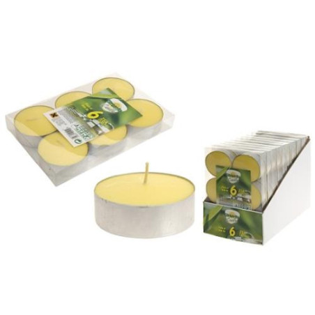 VELAS DE CITRONELA TEALIGHT 45GR. 8 UD 834
