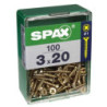 TORNILLO SPAX C/PL POZI BRICO. 3.0X20 C/100 UDS