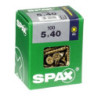 TORNILLO SPAX C/PL POZI BRICO. 5.0X40 C/100 UDS