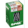 TORN. SPAX C/ARAN.TORX 6.0X100 WIROX C/24 UDS