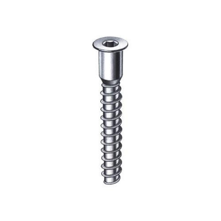 CENT. TORNILLO ENSAMBLAJE BICRO. NUMERO 7 7X50
