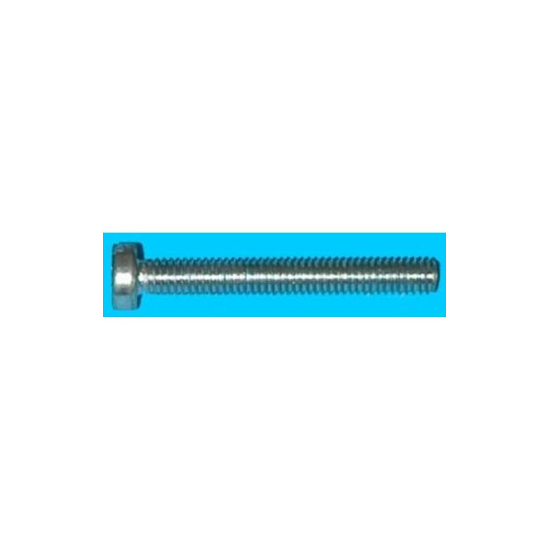 TORNILLO CABEZA CILINDRICA METRICA 4X30 ZN BL.