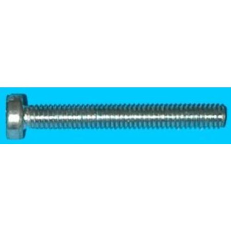 TORNILLO CABEZA CILINDRICA METRICA 4X30 ZN BL.