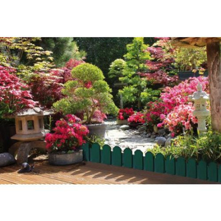 BORDURA 22X81 VERDE (PACK 4) SIERRA BORDER 2013867