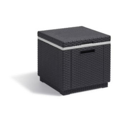 ICE CUBE GRAPHITO 213828