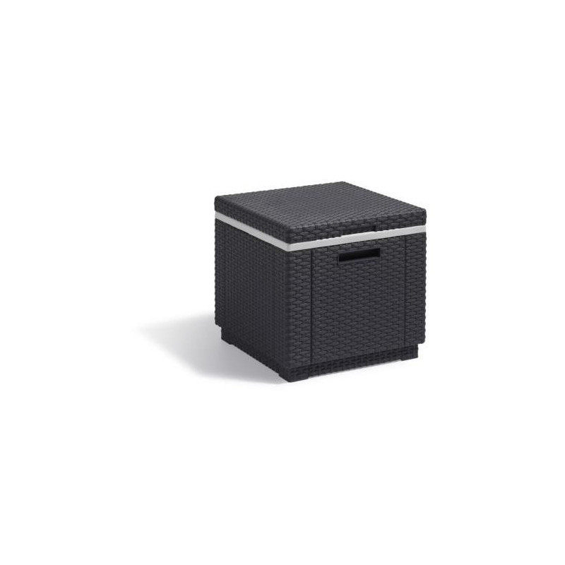 ICE CUBE GRAPHITO 213828