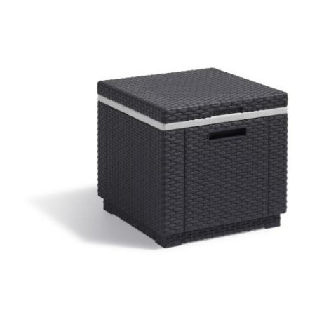 ICE CUBE GRAPHITO 213828