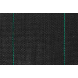 MINIROLLO ANTIHIERBA G100 2,10X10 NEGRO