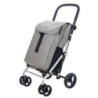 CARRO DE COMPRA CLASICC FAMILY ICE LETT470-CI