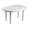 MESA JARDIN OVALADA 130X90CM.  4020