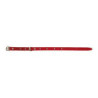 COLLAR PERRO FORNITURA 01005
