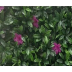 JARDIN VERTICAL MALVA 50X50 CM. 240023