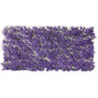 CELOSIA EXTENSIBLE MIMBRE LILA 1X1,5 M.