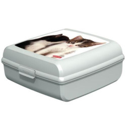 CAJA PORTAOBJETOS GATOS L 181171