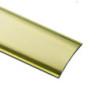 PLETINA ADHESIVA LATON 40X1X1.00 21021B