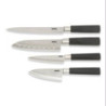 SET 4 CUCHILLOS JAPONESES SOLID+
