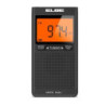 RADIO DIGITAL AM/FM GRAN DISPLAY AURIC.-ELBE RF-94