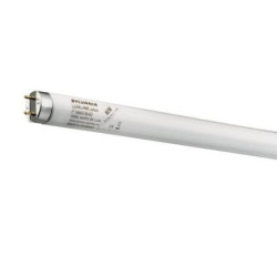 TUBO FLUORESCENTE TRIFOSFORO L58W/865 1532