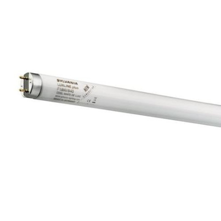 TUBO FLUORESCENTE TRIFOSFORO L58W/865 1532