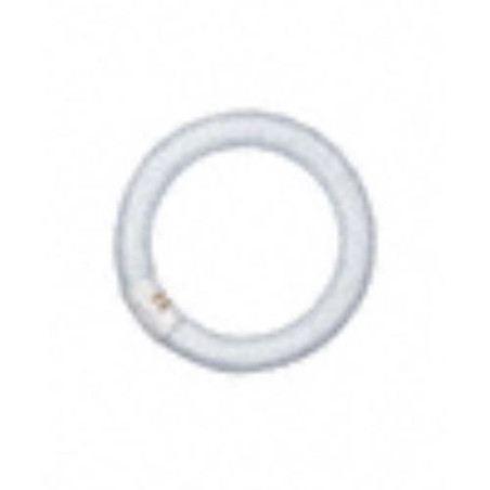 TUBO CIRCULAR TRIFOSFORO L32W/865 C G10Q 781167