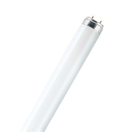 TUBO FLUORESCENTE TRIFOSFORO L18 W./ 865