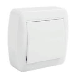 INTERRUPTOR BIPOLAR 10AX 250V. SUPERF.BCO. MUR22U