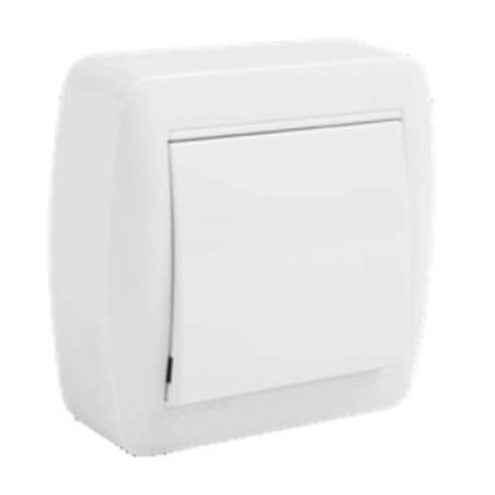 INTERRUPTOR BIPOLAR 10AX 250V. SUPERF.BCO. MUR22U