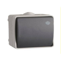 INTERRUPTOR BIPOLAR 10 AH. 250 V. 3303