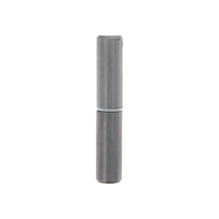 PERNIO 3-50X10 ACERO PULIDO 10756