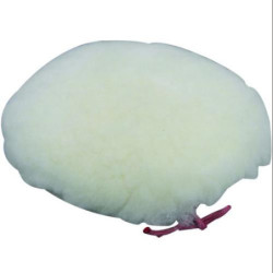 BONETE PULIR CON CORDON D.180 VARIOPAD