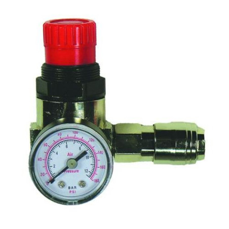MINI REGULADOR PRESION RECAMBIO 1/4' H 8973005861